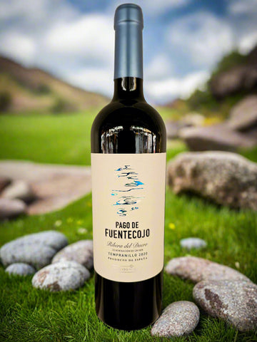 Pago De Fuentecojo Ribera del Duero 2020